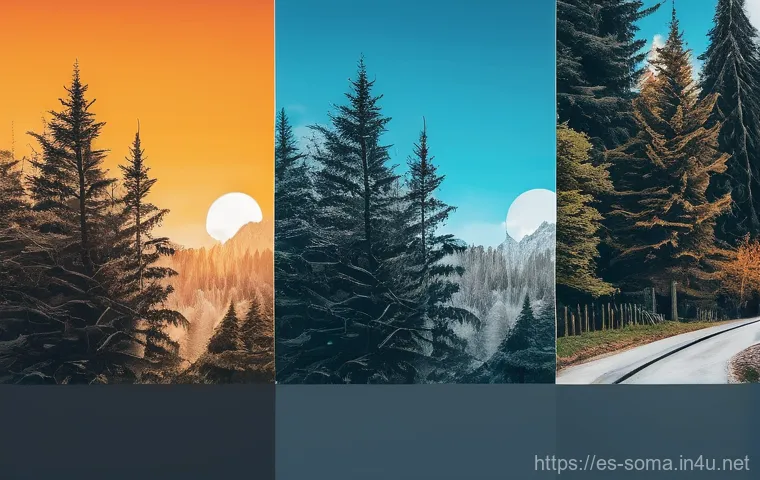 소말리아 난민 문제 - Here are three detailed image prompts in English, adhering to all the specified guidelines: